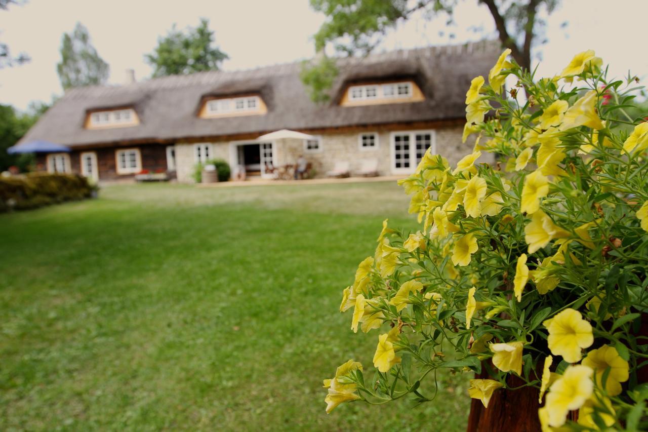 Tornimae Metsara B & B מראה חיצוני תמונה
